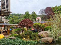 -湘力力小院·鱼汤泡饭(枫林路店)
