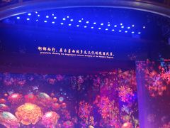 -新疆大剧院