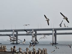 -黑石礁公园