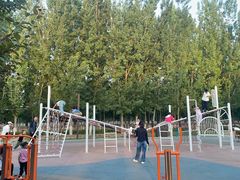 -汉长安城未央宫国家考古遗址公园