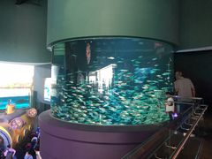 -瑞普利水族馆