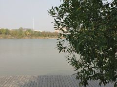 -九里河湿地公园