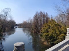 -溱湖国家湿地公园