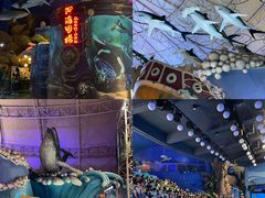 -烟台海昌鲸鲨海洋公园