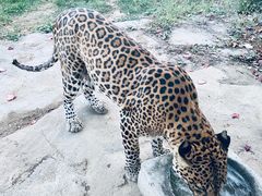 -杭州野生动物世界