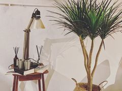 -甘单茶事小馆(洋河店)