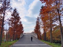 -广富林郊野公园