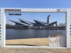 -盐城丹顶鹤湿地生态旅游区