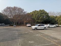 -胜华驾校·小猫学车(银都店)