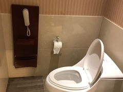 -洪湖悦兮半岛国际温泉度假村