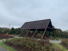 -上海滨江森林公园