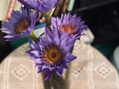 -花与咖啡馆(金星楼店)