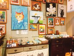-猫咪博物馆(顶澳仔猫街店)