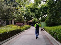 -徐家汇源景区-衡山公园