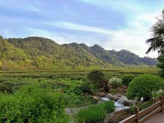 -中国茶叶博物馆(双峰馆区)