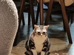 -咖法森林·咖啡  酒吧(天河店)