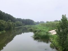 -东郊湿地公园