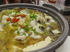 -松花湖水饺(新濠天地店)