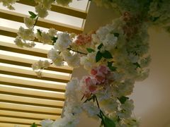 -晓寿司·精致料理(绿地店)