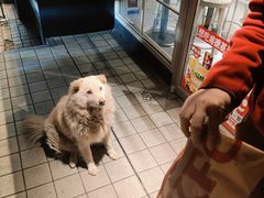 -肯德基(燕岭店)