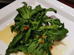 沙棘冰草-九十九顶毡房(阜石路店)