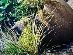 -仟汇足道·SPA(秀洲总店)