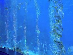-海合安青岛极地海洋公园