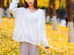 -重庆市江北嘴中央商务区中央公园