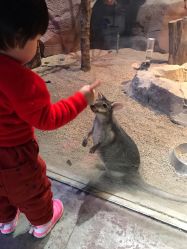 -酷嗒动物文化乐园(cutezoo西溪乐天城店)