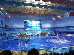 -多彩贵州城极地海洋世界