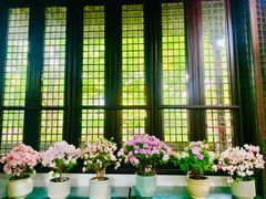 -上海醉白池公园