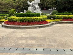 -金鸡山公园