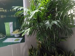 -钟薛高(南头古城店)