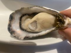 -Oyster Talks 四度蚝法餐厅
