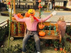 -武汉紫薇都市田园