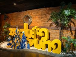 -Zoolung Zoolung动物主题公园(海信广场店)