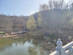 -大连植物园