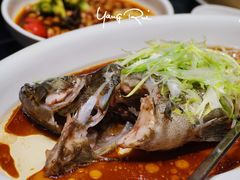 清蒸老虎斑-徐记海鲜(大明宫|北二环店)