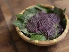 -炭火云南烤肉(西大万达店)