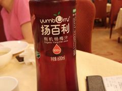 有机酸梅汁-唐宫海鲜舫