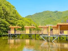 -龙道沟景区