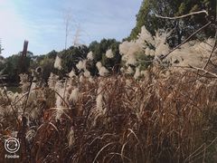 -中国美术学院象山校区-民艺博物馆