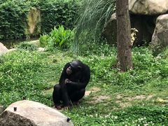 -野生动物园-停车场