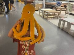 -宜家家居(四元桥商场店)