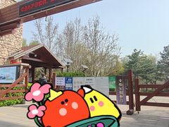 -古塔公园