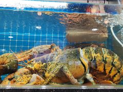 -醉壹号海鲜大排档(厦门美食地标店)