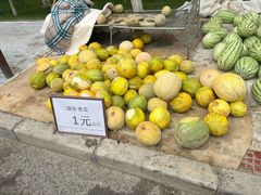 -哈密回王府景区