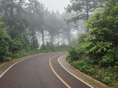 -铁山坪森林公园