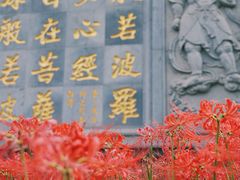 -西安大兴善寺