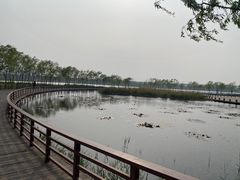 -绿堤公园